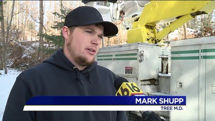 Pennsylvania Tree-Cutters Heading to Help Cleanup Puerto Rico