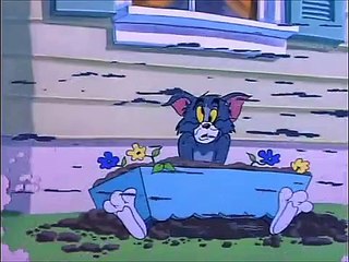 Tom And Jerry English Episodes - Safety Second   -