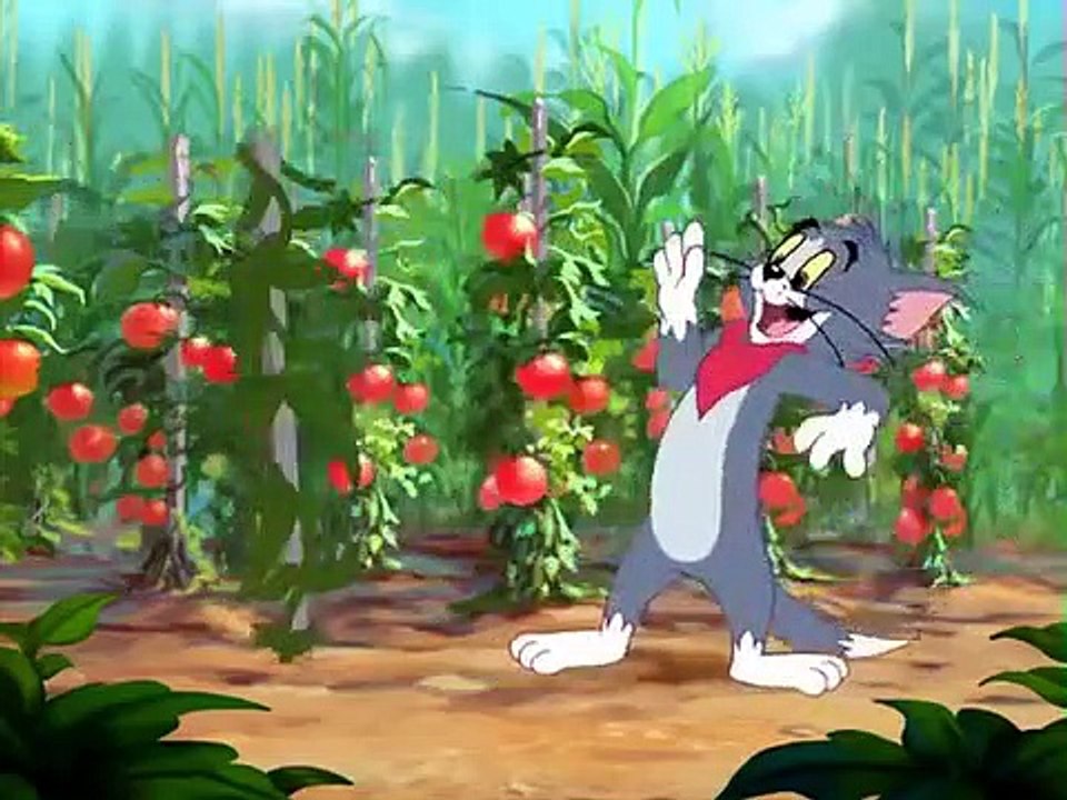 Tom And Jerry English Episodes - Summer Squashing  - Cart
