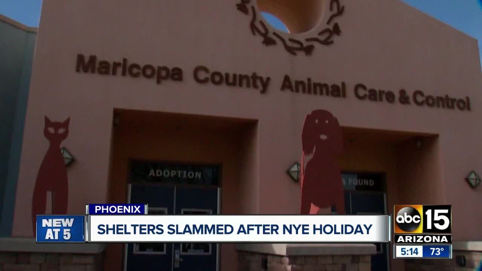 ⁣Valley animal shelters packed after NYE holiday