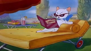Tom And Jerry English Episodes - Springtime