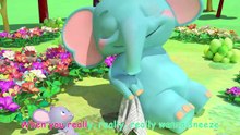 The Sneezing Song _ Nursery Rhymes &