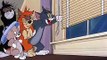 Tom And Jerry English Episodes - Saturday Evening Puss  - Cartoons