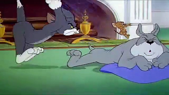 Tom And Jerry English Episodes - Quiet Please! - Cartoons For Kids Tv