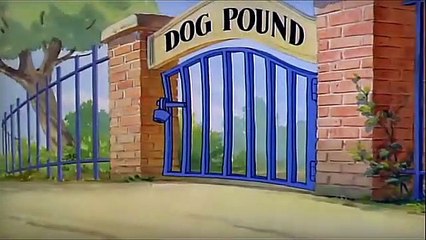 Tom And Jerry English Episodes - Puttin’ on the Dog
