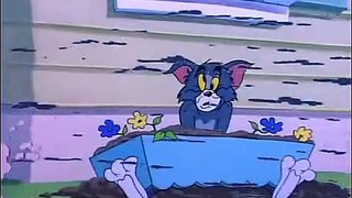 Tom And Jerry English Episodes - Safety Second   - Cartoon
