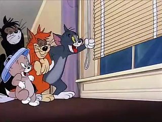 Tom And Jerry English Episodes - Saturday Evening Puss  - Cartoons Fo