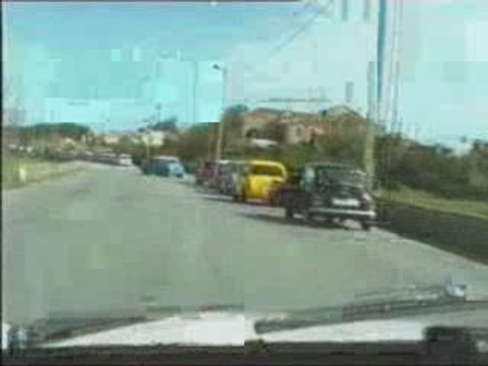 Estarreja8