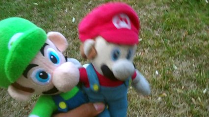 Mario and Luigi Attack Bowser's Castle