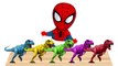 Baby Spiderman playing with Dinosaur Talking Tom Hulk Little Pony Finger Family Learn Colors-k6FlSr