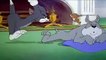 Tom And Jerry English Episodes - Quiet Please!  - Cartoons For Kids Tv-HzS5yydR