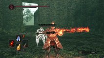 DARK SOULS™ II: Scholar of the First Sin - Escorpiã VS Dupla Forte