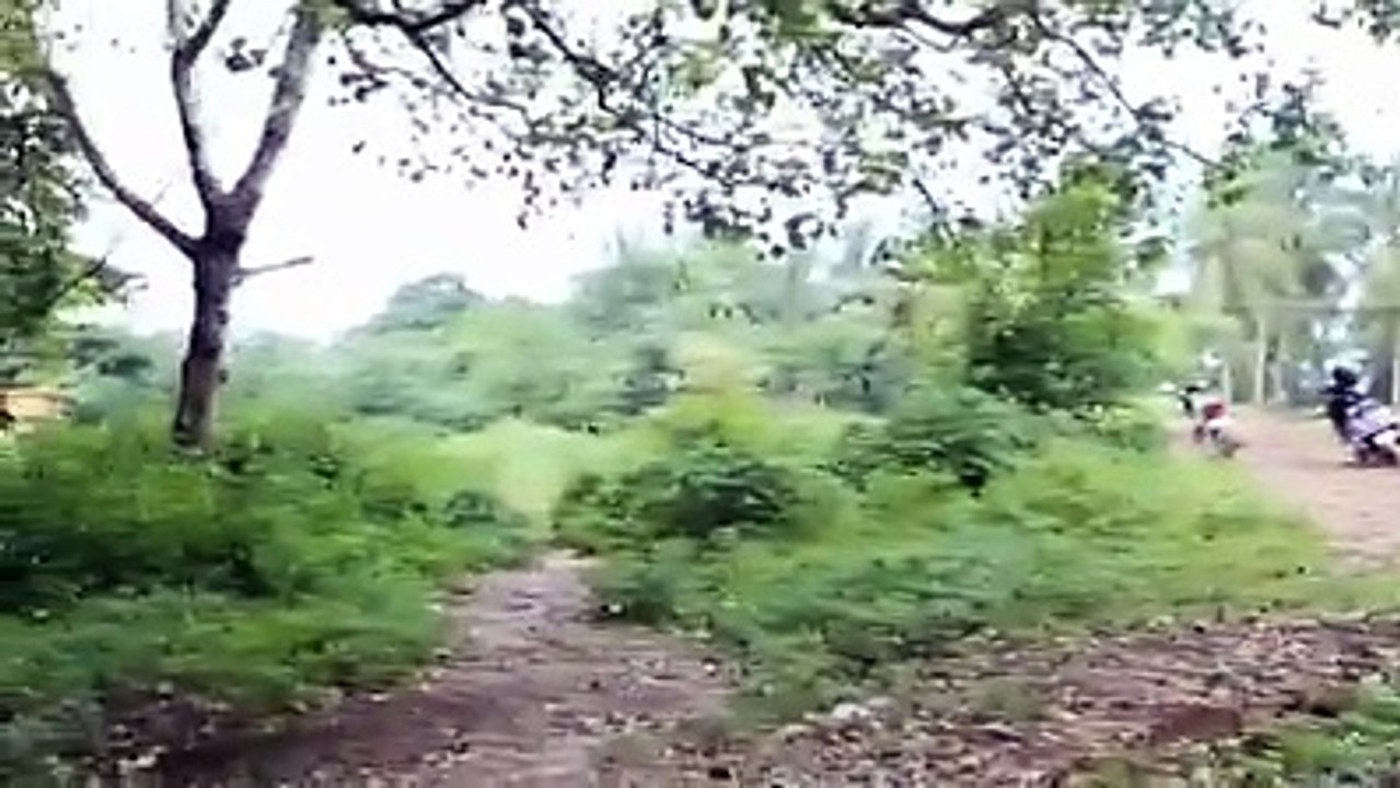 REAL HORROR VIDEO