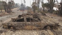 Presidente Trump declara el estado de desastre en California por incendios