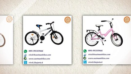 Children bicycle manufacturers || Eastman Bikes