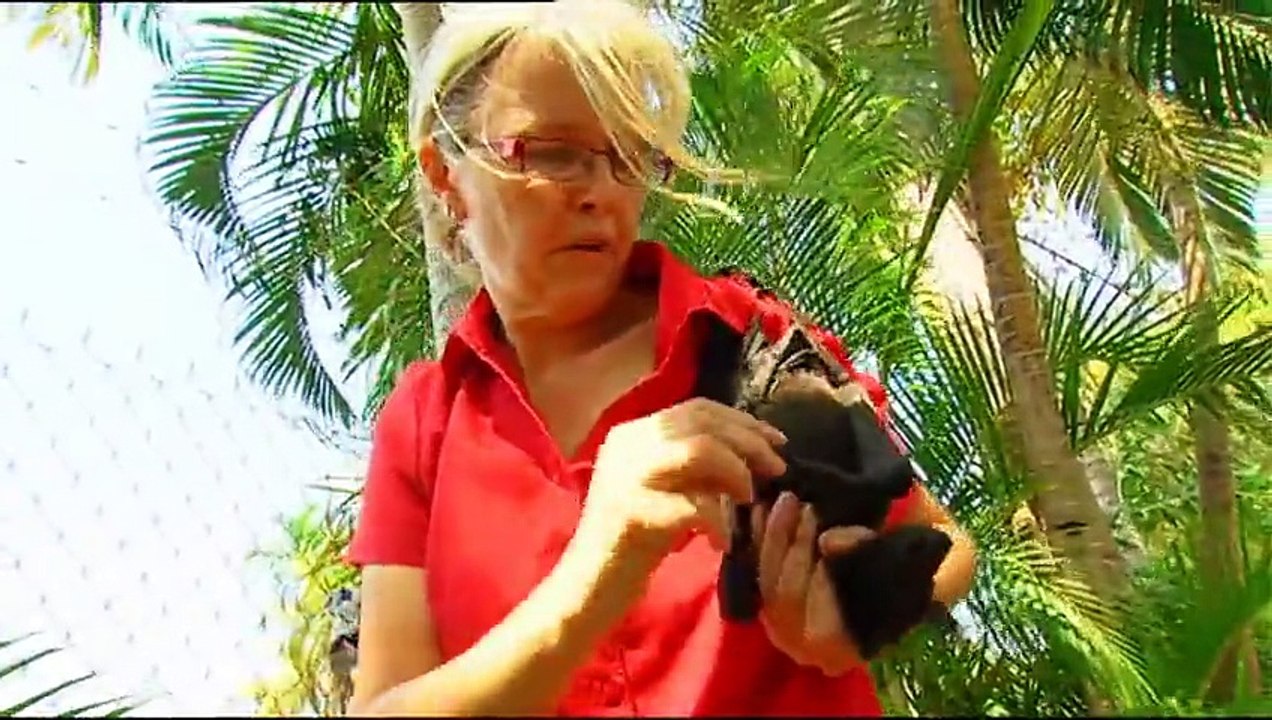 Outback Wildlife Rescue Episode 10 by ChannelHub