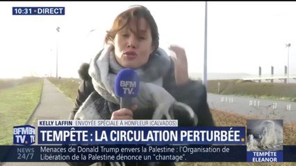 Eleanor : le pont de Normandie interdit à la circulation des poids lourds et les TER annulés en Normandie