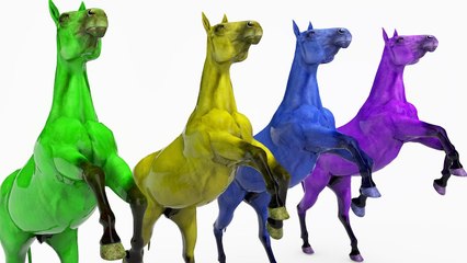 Learn Shapes & Learn Color Horse W Learm Number Animals Cartoon Nursery Rhymes for Kids