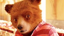 PADDINGTON 2 : les Extraits trop drôles du film !