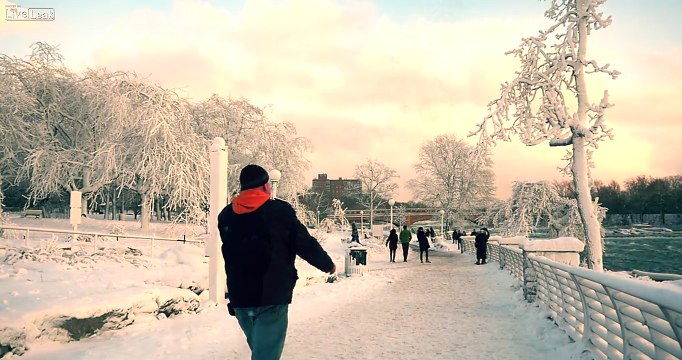 Les chutes du niagara sont figées à causes des températures extrêmes de l'hiver !
