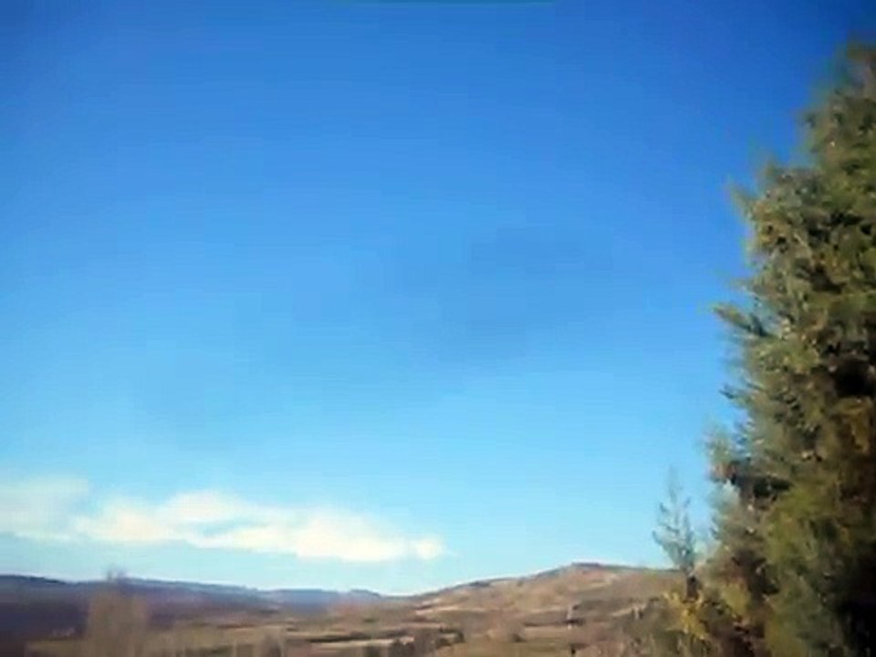 un essaim d'abeilles dans les airs