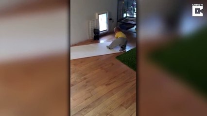 Un enfant galère avec on rouleau de papier