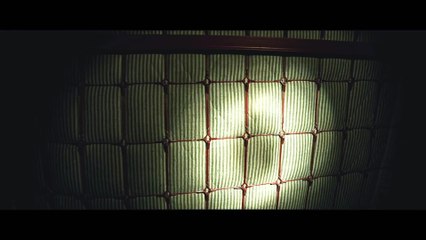 Insidious The Last Key - Into the Dark