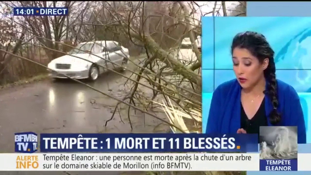 Tempête Eleanor: une personne est morte après la chute d'un arbre sur le domaine skiable de Morillon