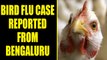Bengaluru : BBMP confirms Bird flu outbreak , officials order culling of chickens | Oneindia News