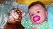 Confused Cat showing love to Baby - Cute Cats and Babies Cuddling Compilation