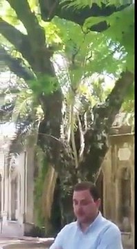 Primero el país, después el PARTIDO NACIONAL, después los sectores y después los dirigentes - LUIS LACALLE POU - 02/01/2018