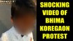 Bhima Koregaon protest : Viral video of kid carrying stones, Watch Video | Oneindia News