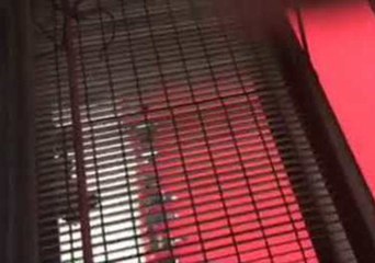 Record-Breaking Christmas Stocking Unveiled