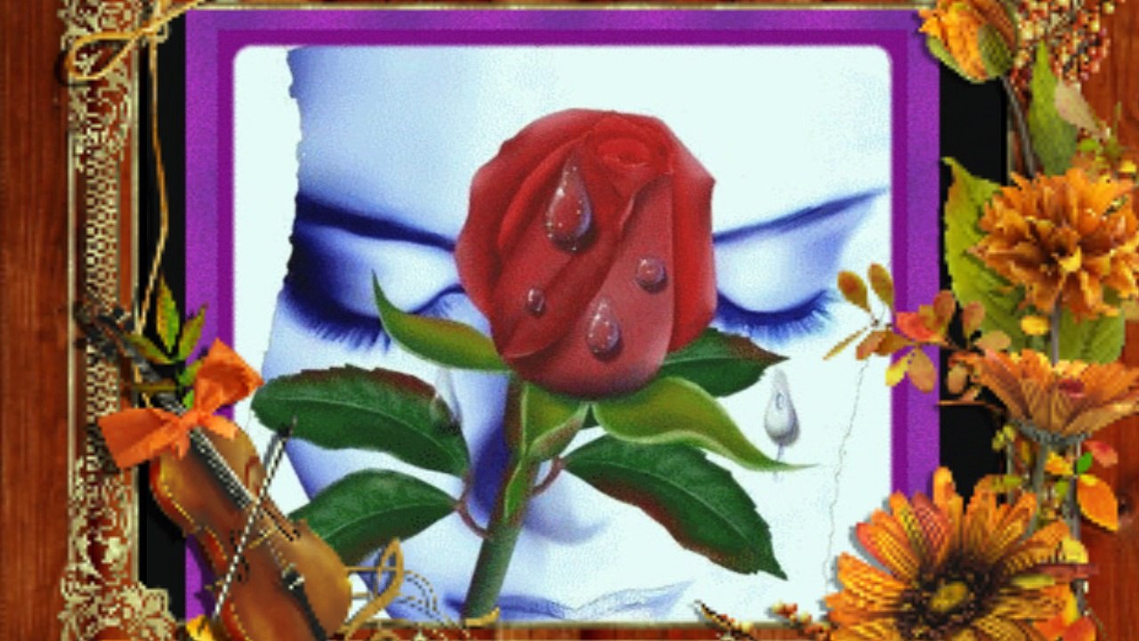 Agrameri - Ruža crvena