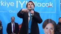 Ordu İyi Parti Genel Başkanı Akşener'e Davul-zurnalı Karşılama