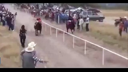 Meksika’da yarış atı araca çarptı