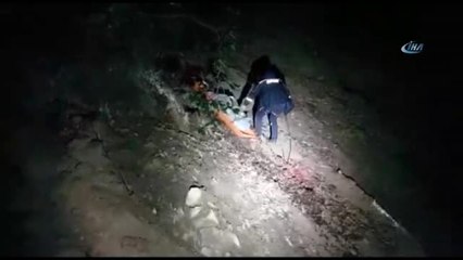 Kestiği Ağaç Üzerine Devrilen Şahıs Hayatını Kaybetti