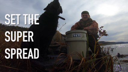 The Mississippi River Spread