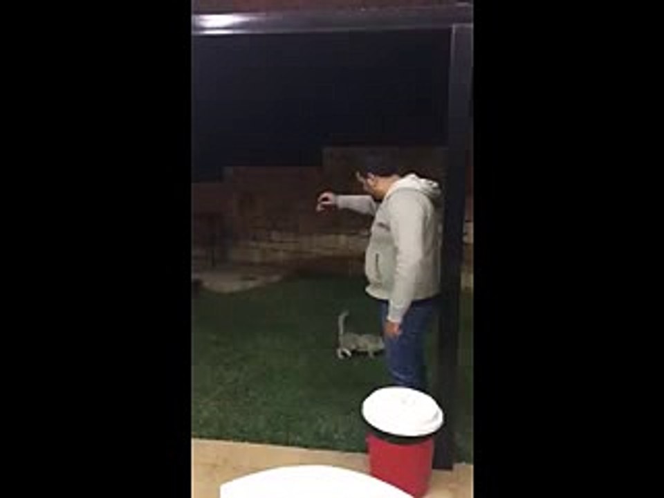 Se qualcuno dovesse riconoscere questo bastardo umano che lo denunciasse. CONDIVIDETELO