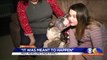 Injured, Abandoned Dog Gets New Family in New Year