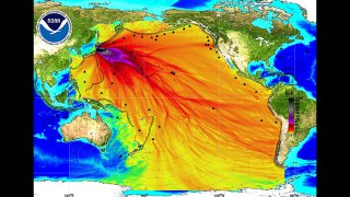 Fukushima Nuclear Radiation Has Contaminated ENTIRE Pacific Ocean