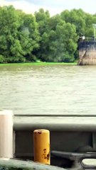 Unknown Green Liquid Draining into River