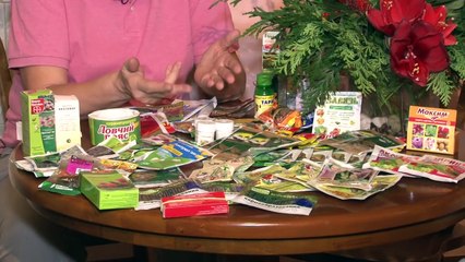 Голова садовая - Фитоспорин. Полное руководство