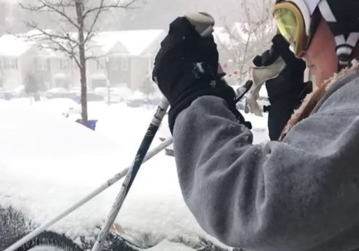 Several Inches of Fresh Snow Fall in Charleston During Winter Nor'Easter