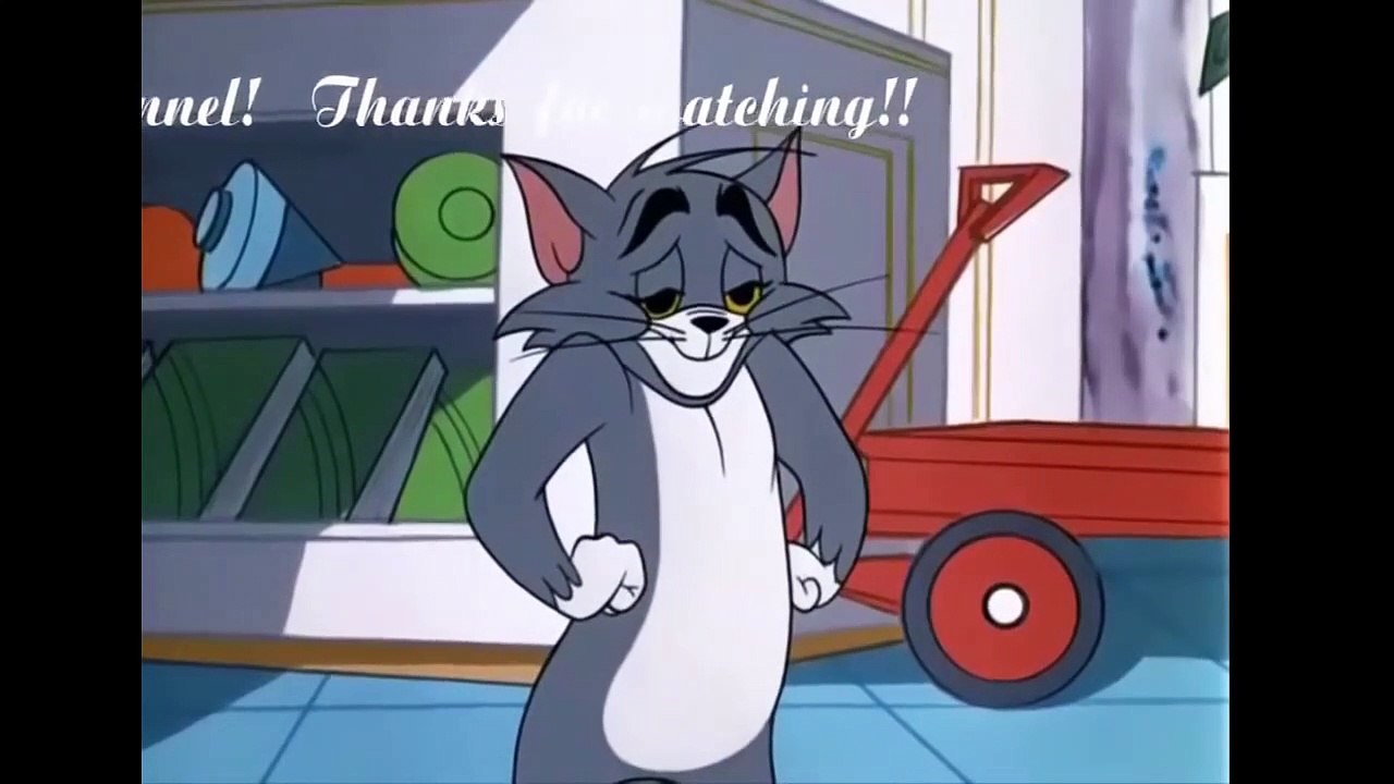 Tom And Jerry English Episodes - I'm Just Wild About Jerry  - Cartoons For Kids Tv-u