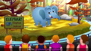 Finger Family Elephant _ ChuChu TV Animal Finger Family Songs & Nursery Rhymes For Childre