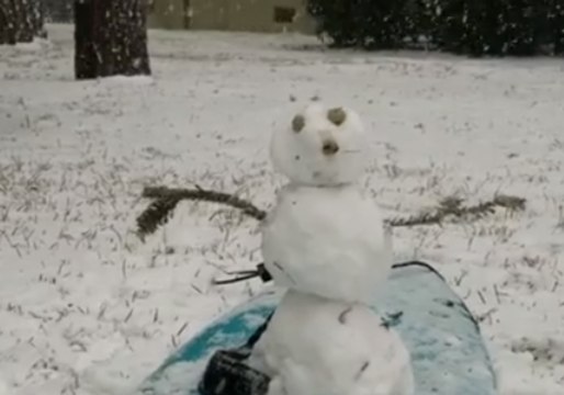 Heavy Snow Blankets South Carolina as Winter Storm Slams Eastern States