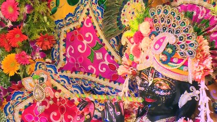 Wedding Hotel in Rajasthan | Radhey Ki Haveli Meenu Sharma  Date - 31st Oct 2017