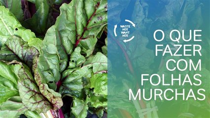 Sem desperdício: reaproveitando folhas murchas
