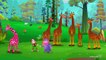 Finger Family Giraffe _ ChuChu TV Animal Finger Family Nursery Rhymes Songs For Children-f_l